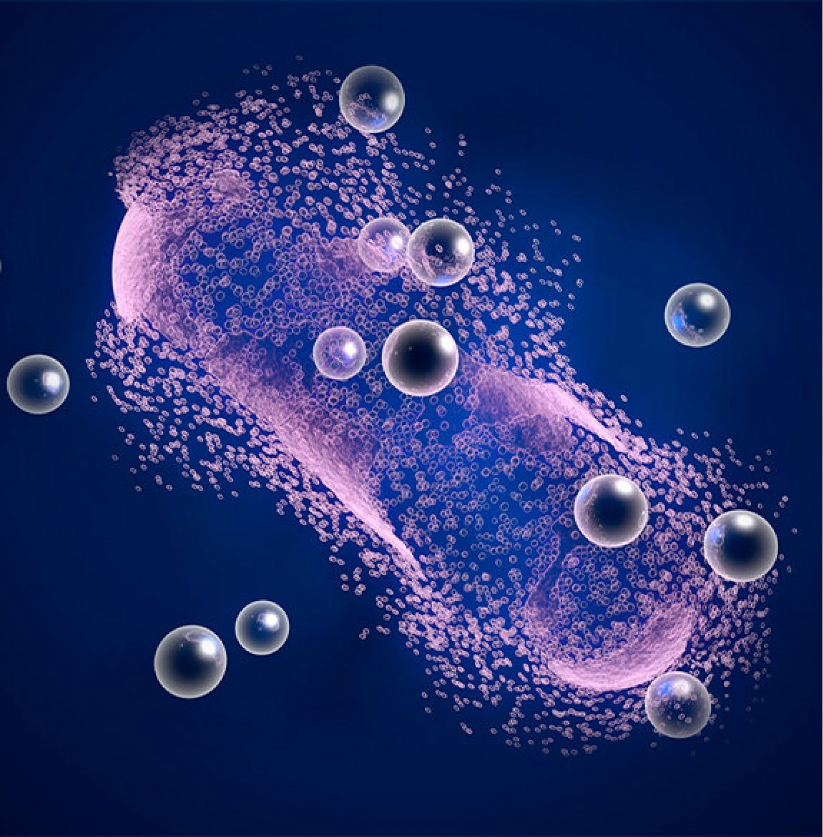 Принцип работы системы автоматического управления обработкой воды бассейна ионами меди и серебра