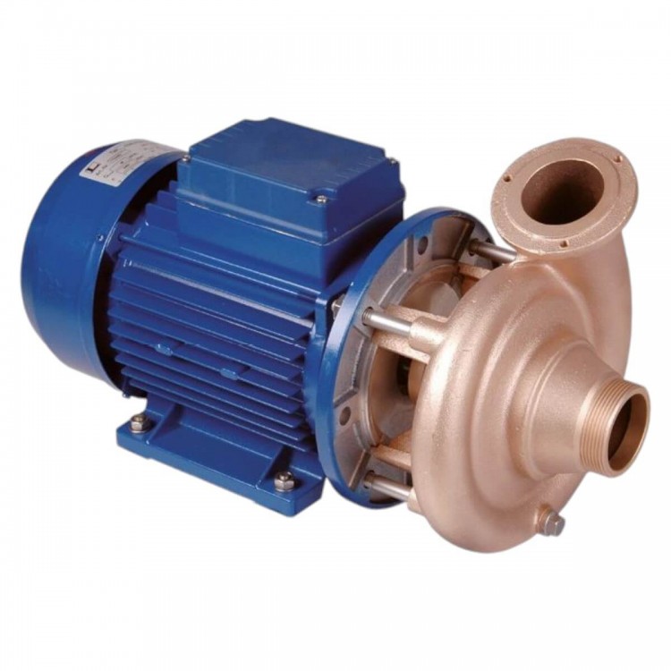 Насос без префильтра бронзовый для бассейна 2,2 кВт Hugo Lahme 400В (7751050)