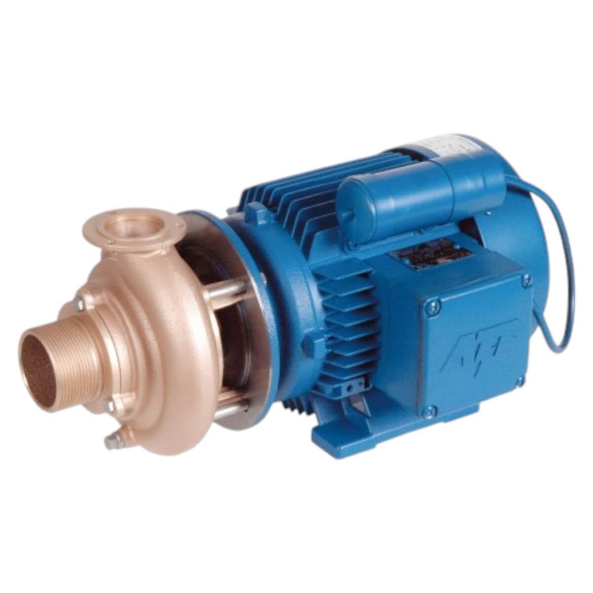 Насос без префильтра бронзовый для бассейна 1,8 кВт Hugo Lahme 230В (7752050)